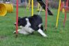 20091122_423DSC_0168.JPG